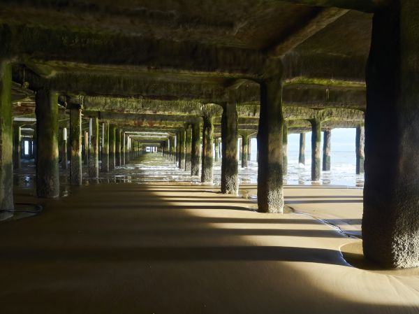 Concrete Pier Repair in Lady Lake